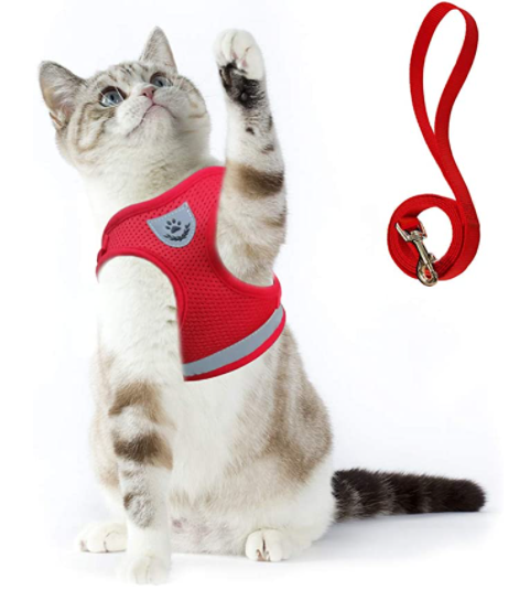 Cat Harness with Leash - AdventureKit Bowlift