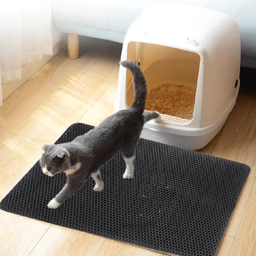 BowLift | StreuChampion — Finally a cozy clean home without cat litter chaos!