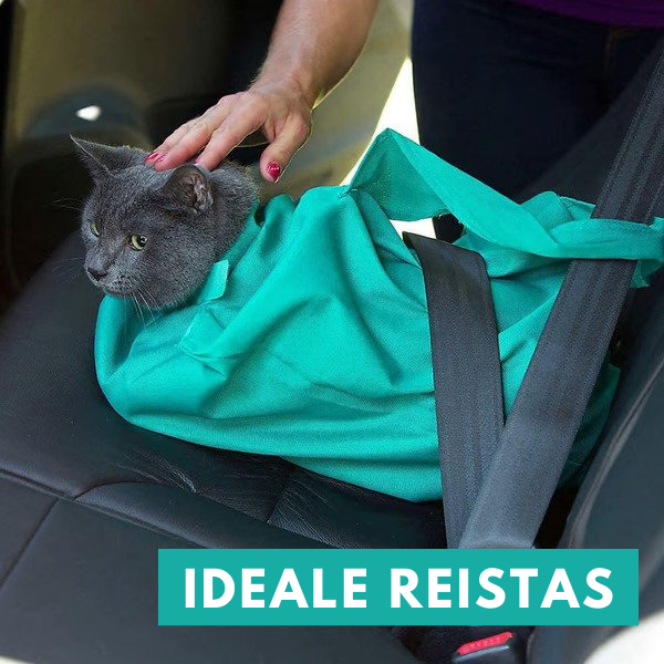 Cat Travel Bag for Comfortable Transport (Buy 1, Get 1 Free) - PurrPorter Bowlift