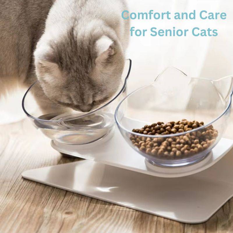 BowLift | Orthopedic Elevated Cat Bowl