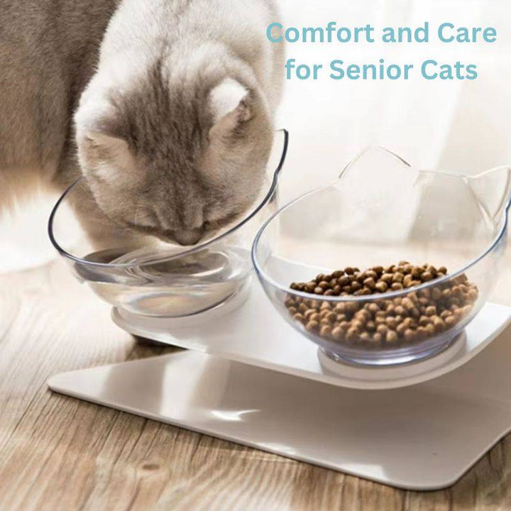 BowLift | Orthopedic Elevated Cat Bowl