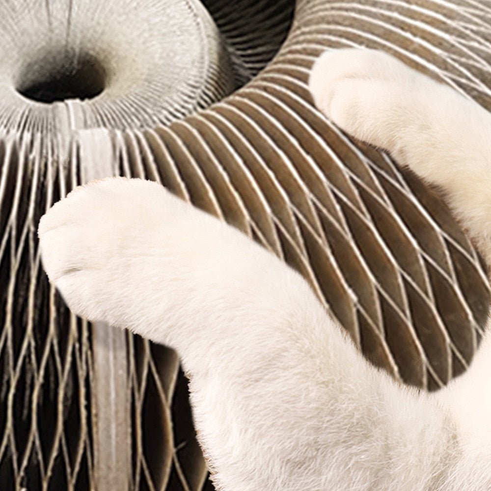 BowLift | Cats Scratching Board - PetCordion