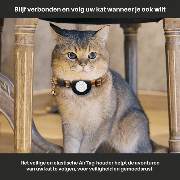 BowLift | CATSAFE TRACK – GPS tracker collar for safety & visibility in cats