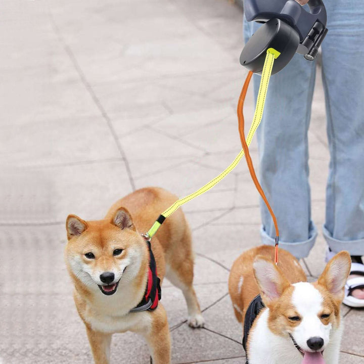 BowLift | Rolling lead for two dogs with integrated torch