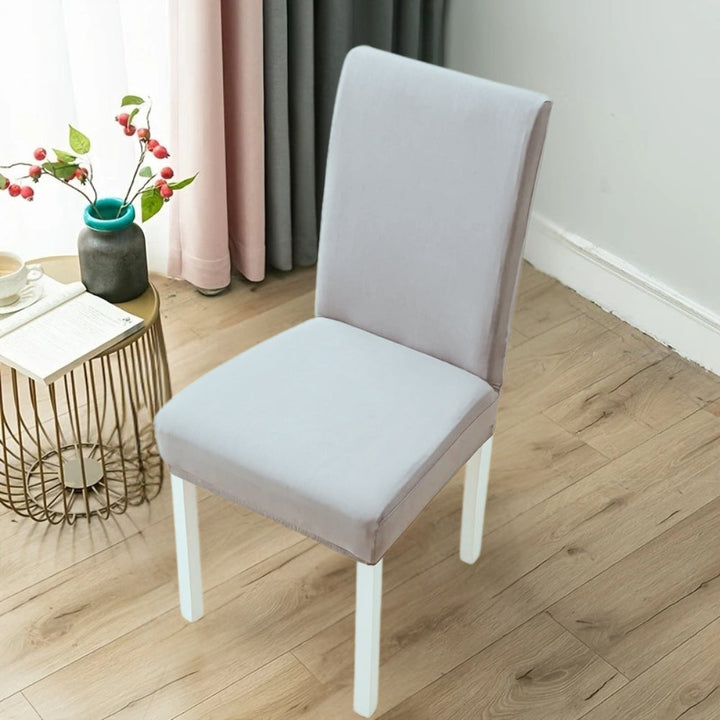 BowLift | Orvia Universal Elastic Chair Cover for Home & Hotel