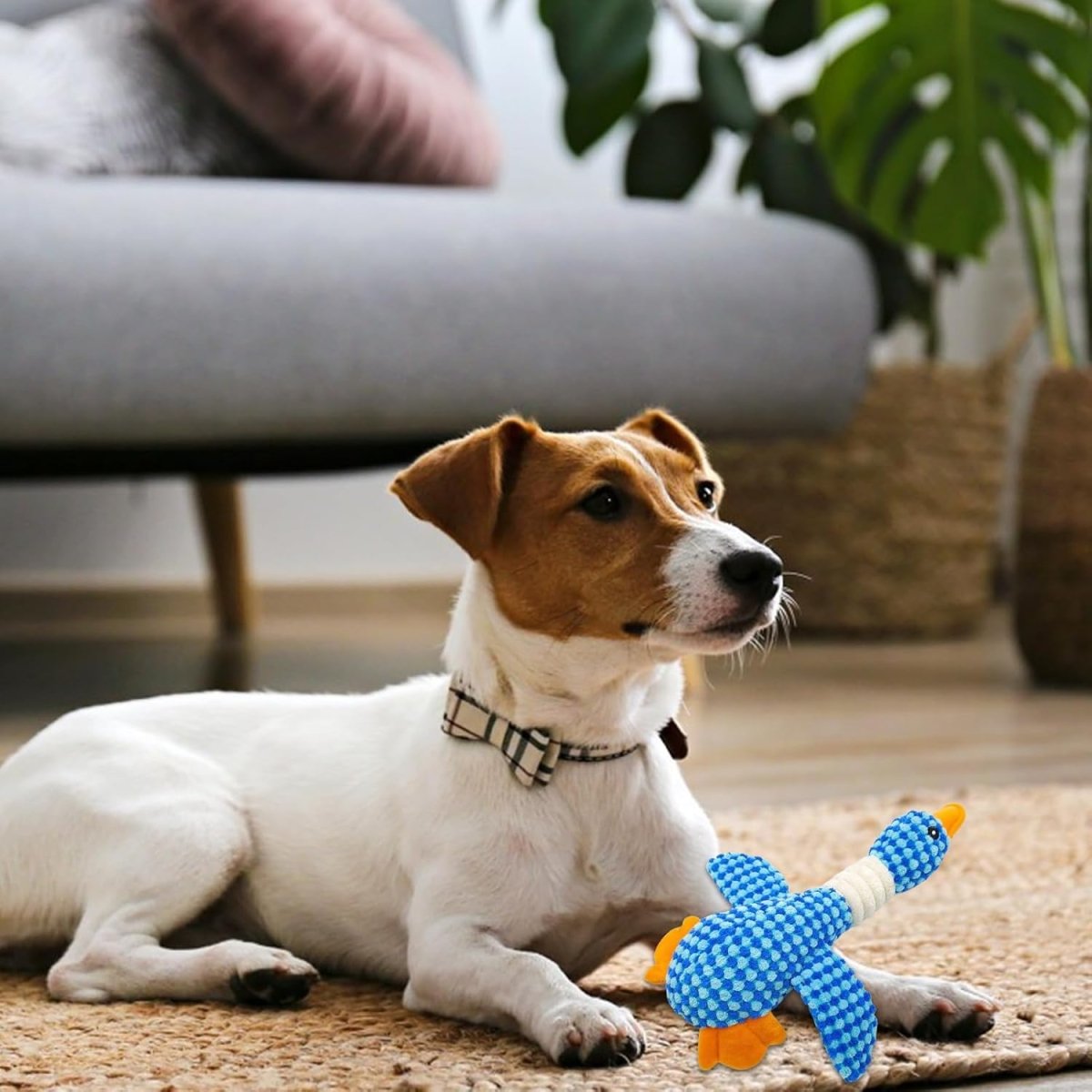 ChewGuard • Goose Dog Toy - Goose Dog Toy - BowLift