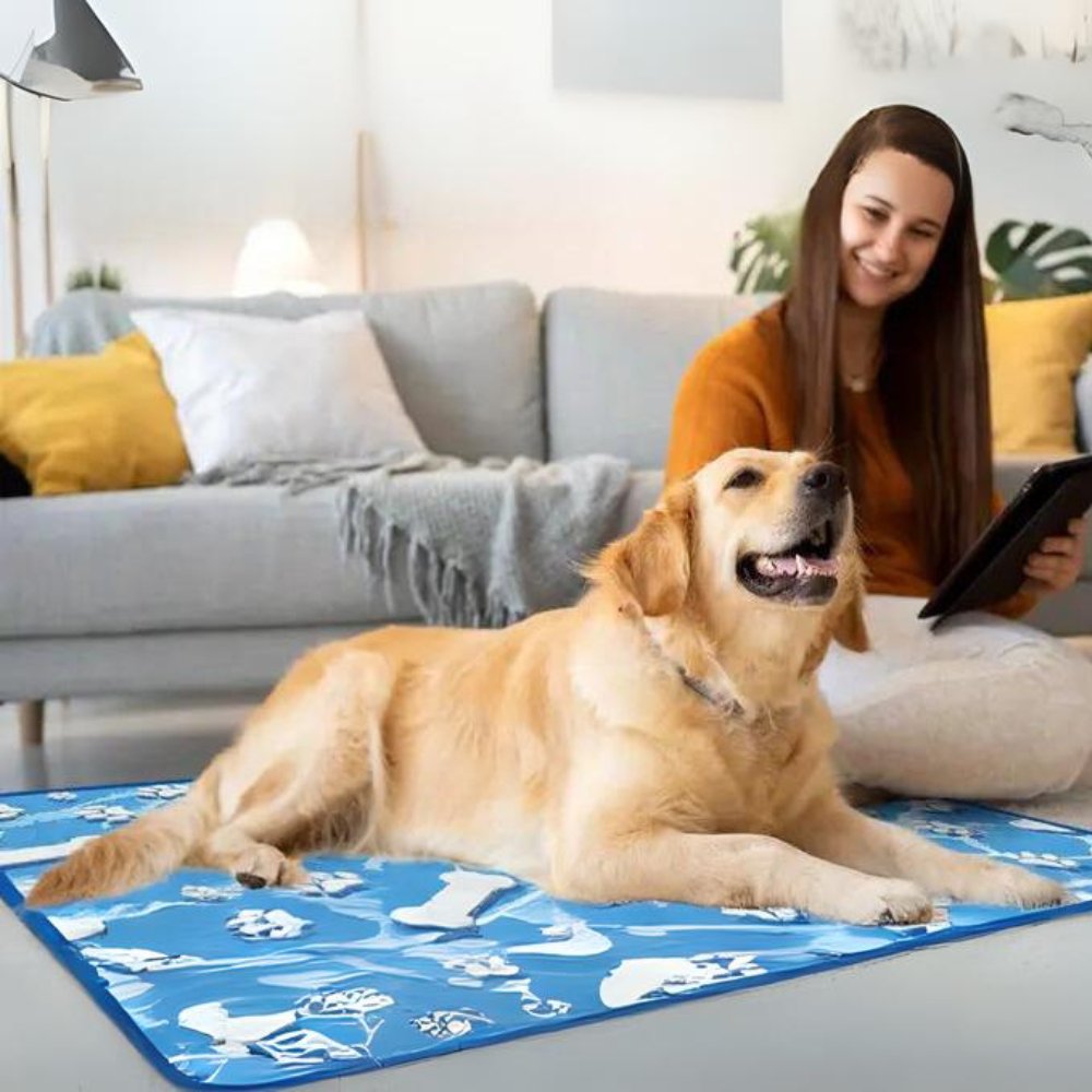 ChillPaws • Dog Cooling Mat - Dog Cooling Mat - BowLift