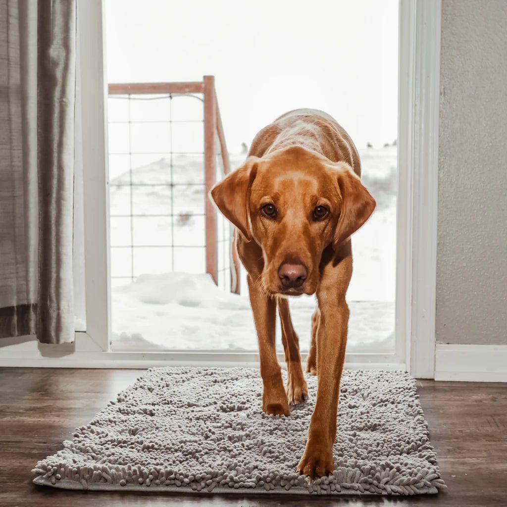 CleanPattoune - The Ultimate Absorbent Dog Mat - Absorbent Dog Mat - BowLift