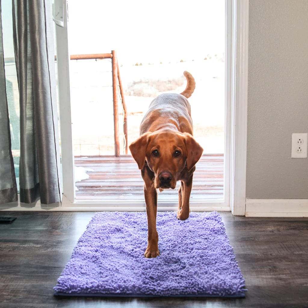 CleanPattoune - The Ultimate Absorbent Dog Mat - Absorbent Dog Mat - BowLift