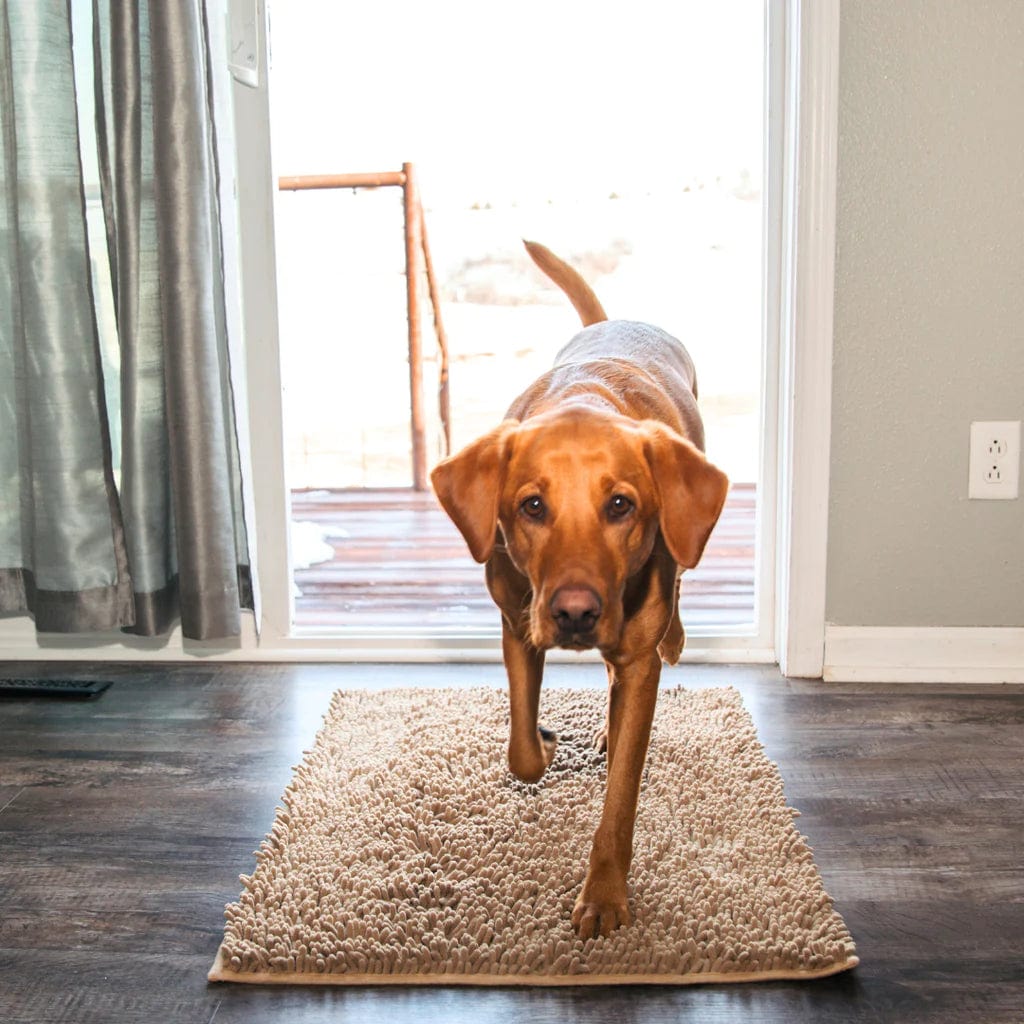 CleanPattoune - The Ultimate Absorbent Dog Mat - Absorbent Dog Mat - BowLift