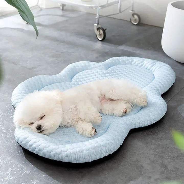 BowLift | CLOUDCOOL – Breathable Cooling Mat for Dogs on Hot Days