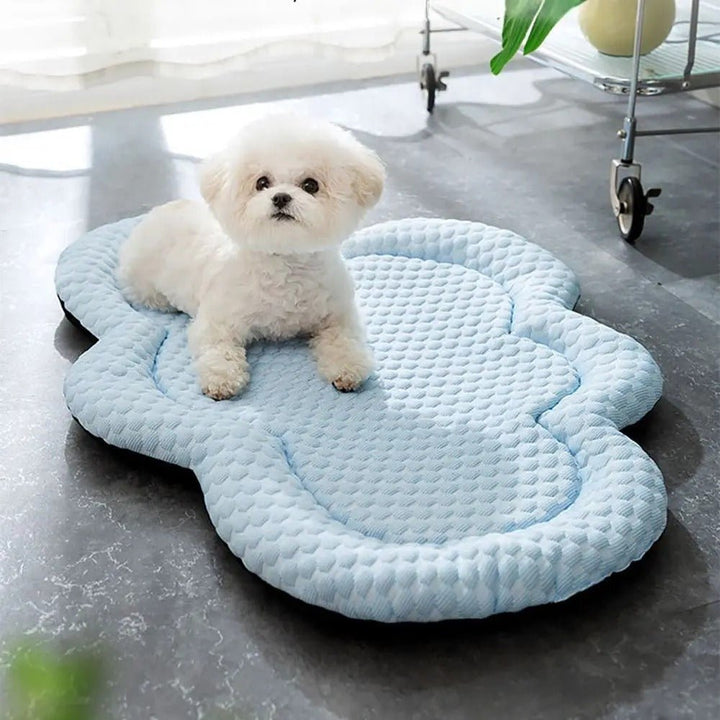 BowLift | CLOUDCOOL – Breathable Cooling Mat for Dogs on Hot Days
