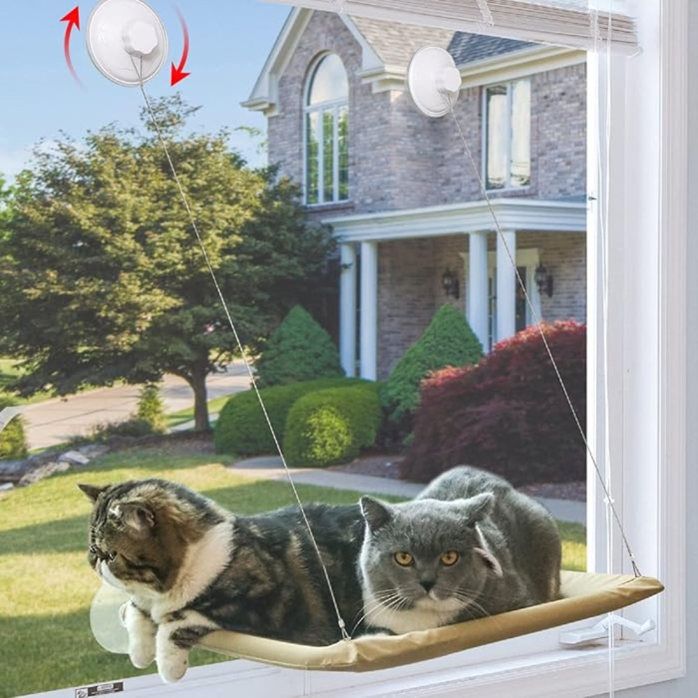 CloudNest • Cat Window Hammock - Cat Window Hammock - BowLift