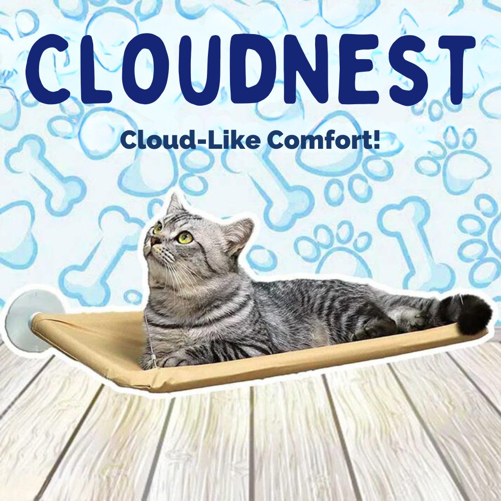 CloudNest • Cat Window Hammock - Cat Window Hammock - BowLift