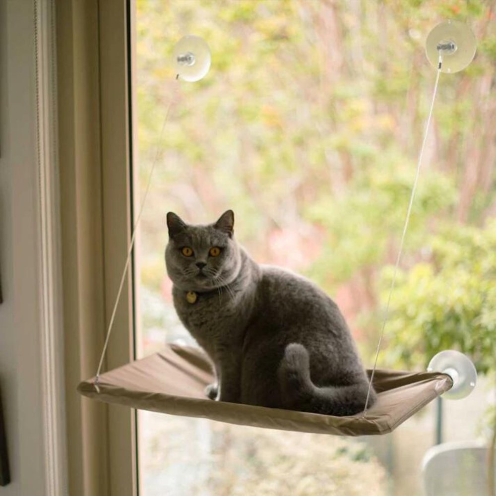 CloudNest • Cat Window Hammock - Cat Window Hammock - BowLift