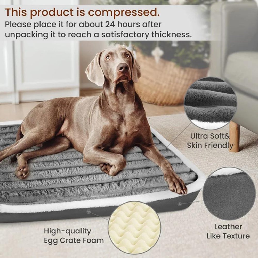 CloudSleep • Memory Foam Dog Mattress - Dog Bed - BowLift