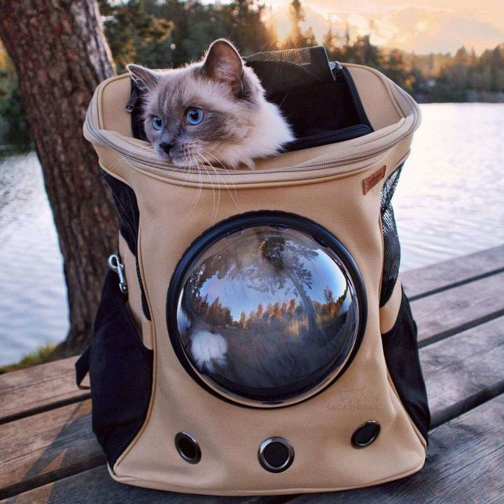 BowLift | Pet Carrier Backpack with Bubble Window Design