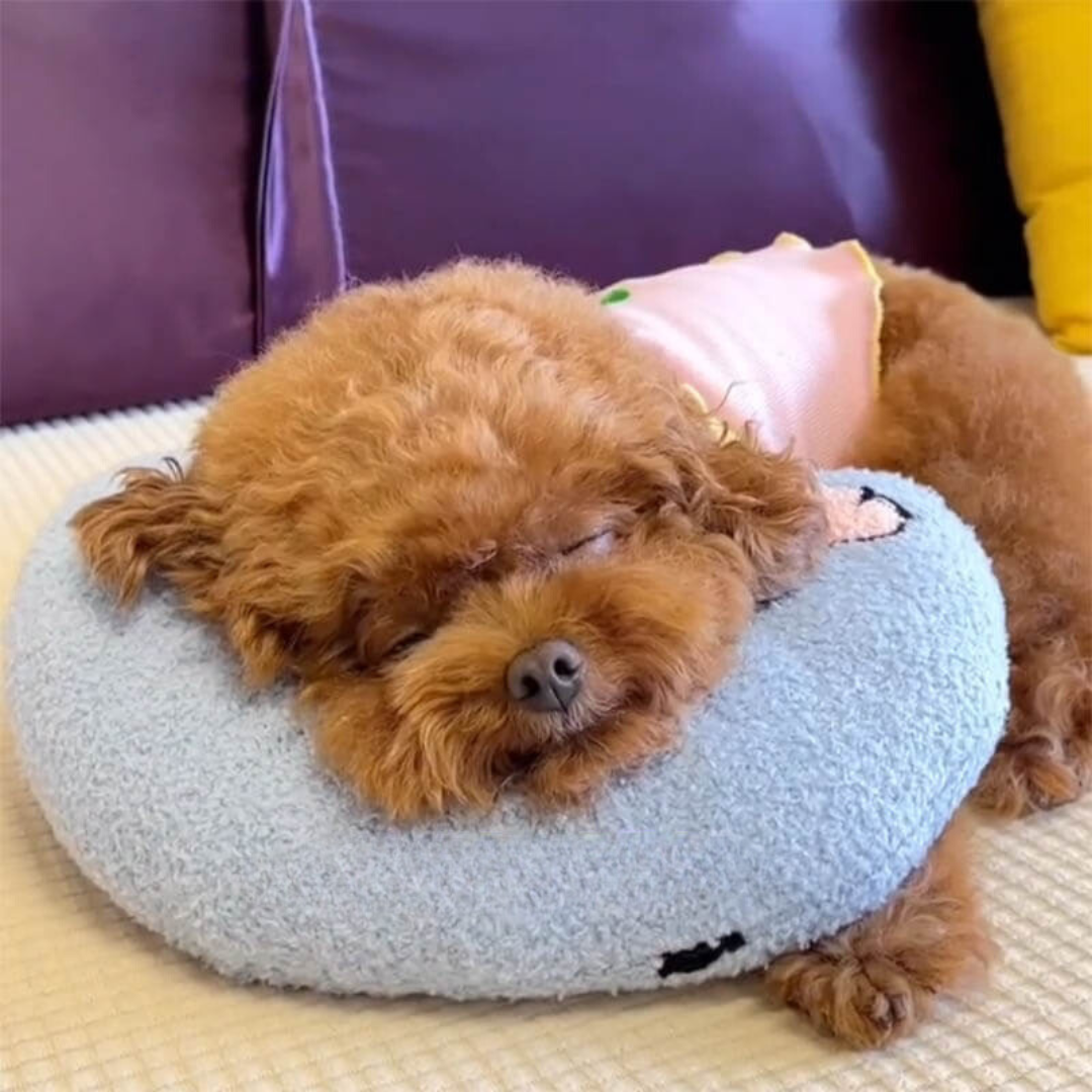 Comfortable Cushion for Dogs - CalmNest Bowlift