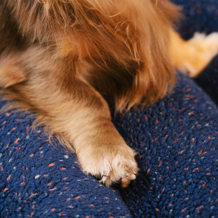 Comfortable Dog Bed - CheesecakeComfort Bed Bowlift