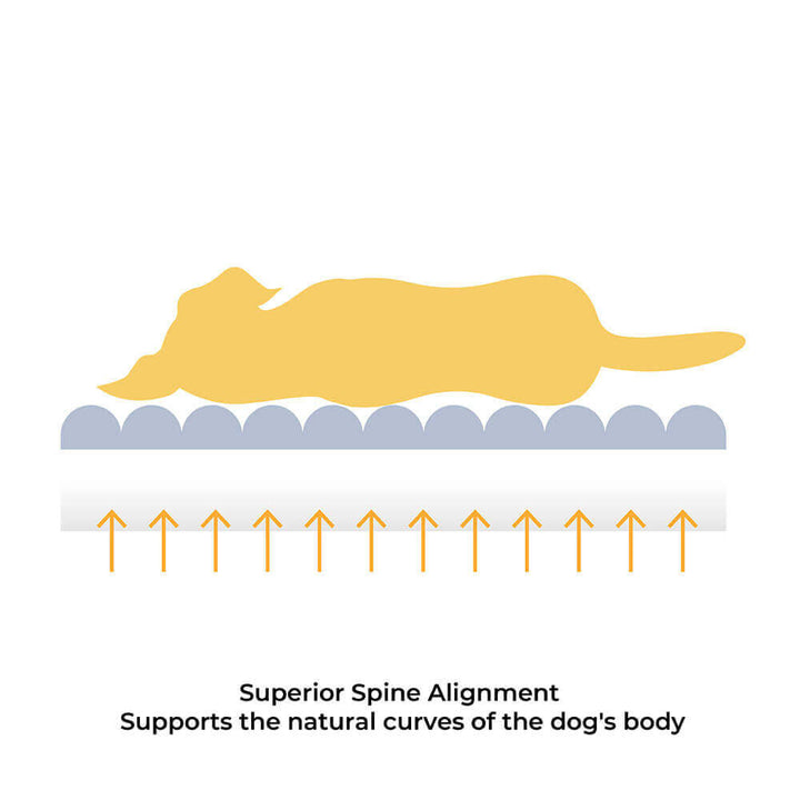 Comfortable Dog Bed - CheesecakeComfort Bed Bowlift