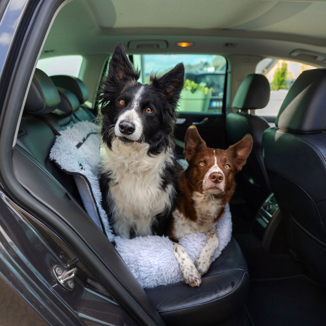 BowLift | Pet Travel Bed Memory Foam Cushion Seat