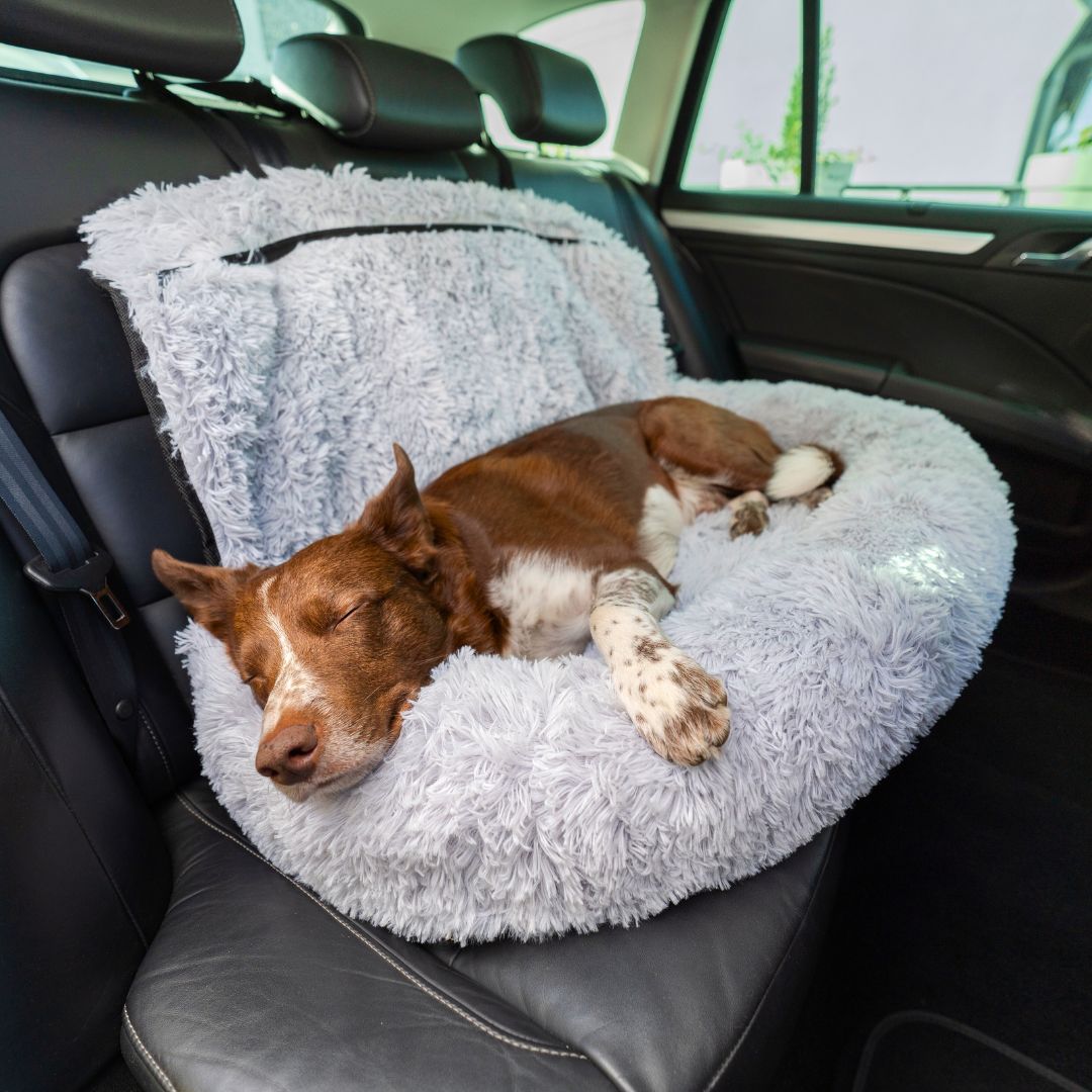 BowLift | Pet Travel Bed Memory Foam Cushion Seat
