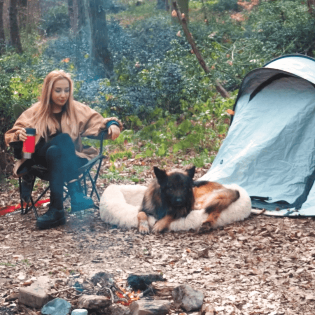 BowLift | Pet Travel Bed Memory Foam Cushion Seat