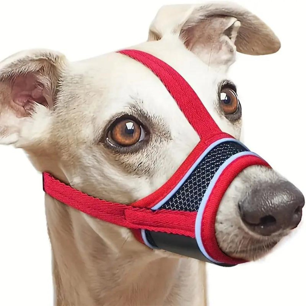 ComfortGuard • Dog Muzzle - Dog Muzzle - BowLift