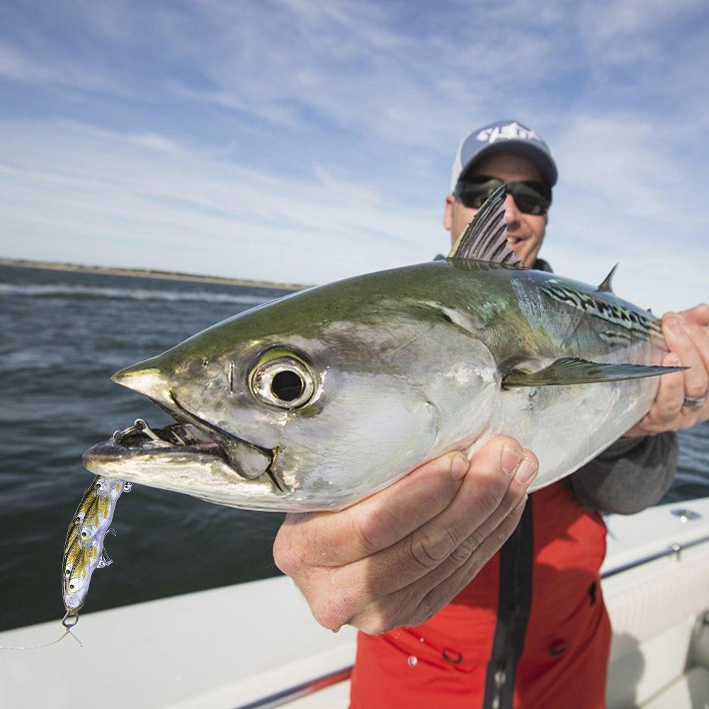 BowLift | Conjoined Fish Lure