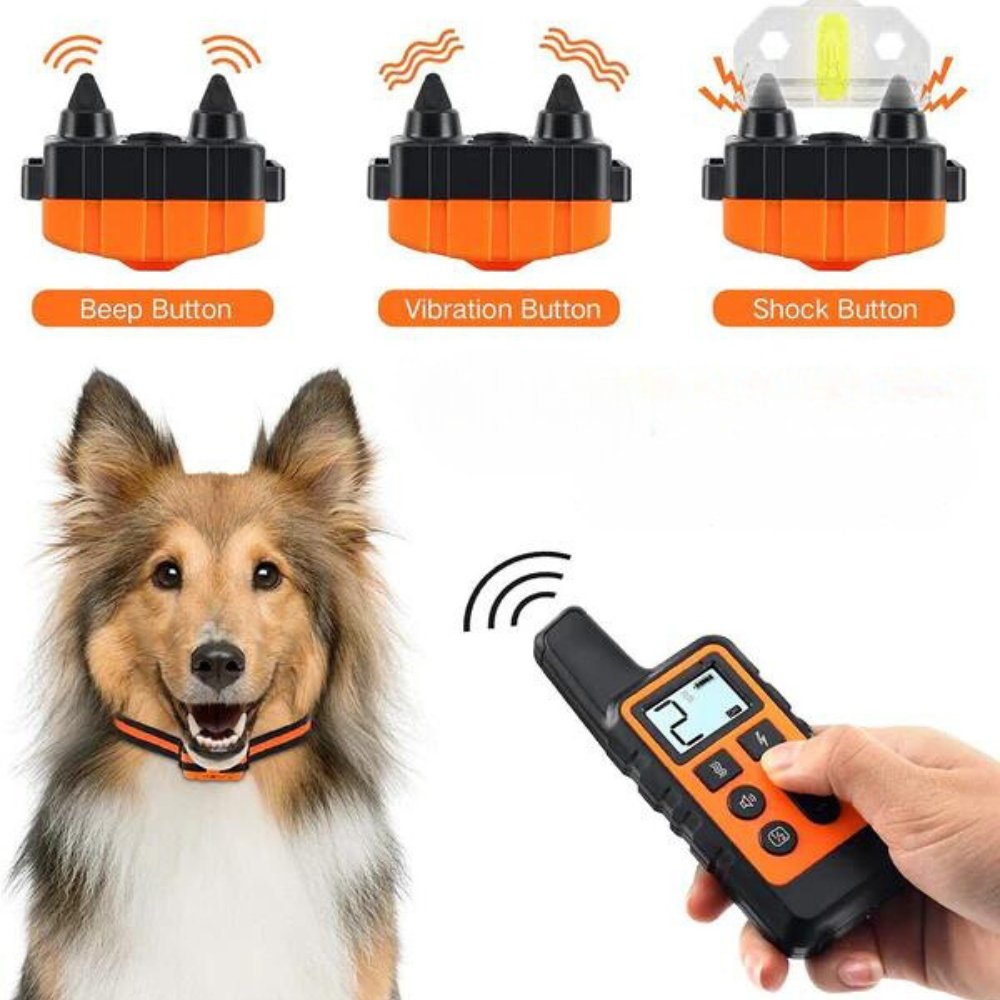 ControlPro • Dog Training Collar - Dog Training Collar - BowLift