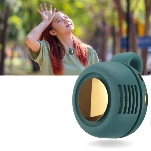 Conveniently Discreet 360 Clip On Fan | Bowlift