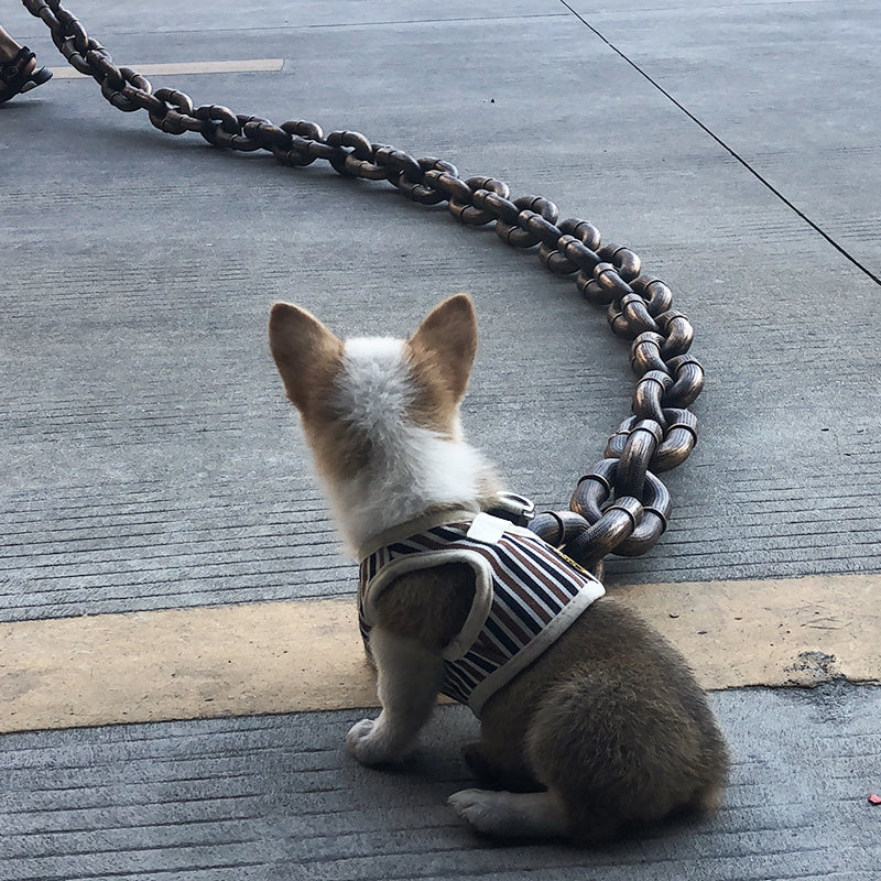 Cool and Funny Dog Leash - PawChic Bowlift
