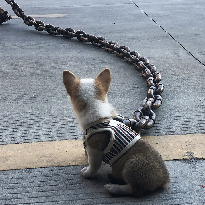 Cool and Funny Dog Leash - PawChic Bowlift