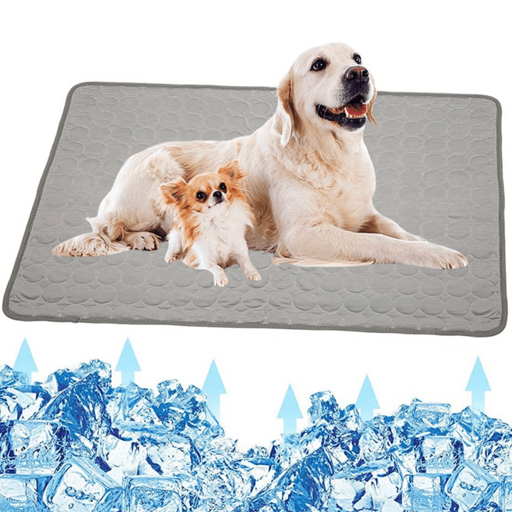 Cooling Dog Mat - CoolPet Mat Bowlift