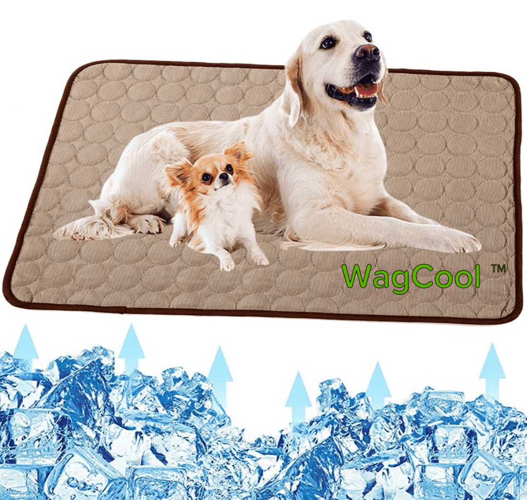 Cooling Dog Mat - CoolPet Mat Bowlift