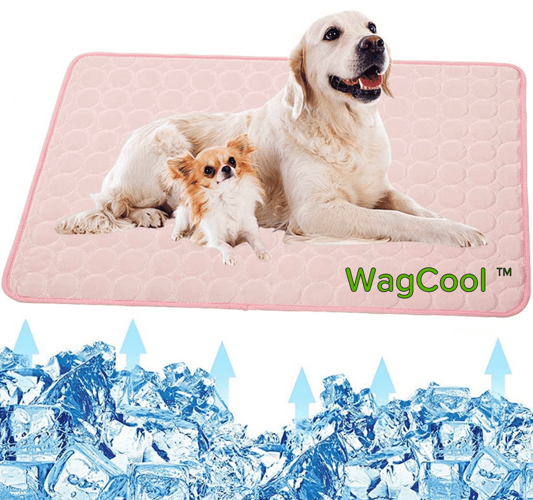 Cooling Dog Mat - CoolPet Mat Bowlift
