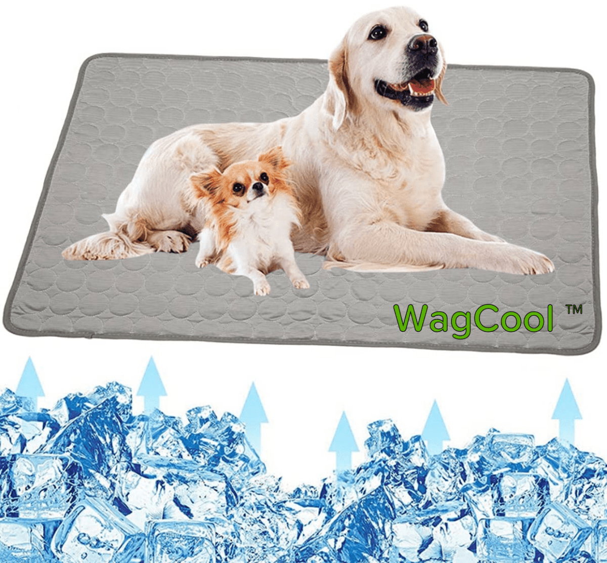 BowLift | COOLPET MAT – Pressure-Activated Cooling Dog Mat for Instant Comfort