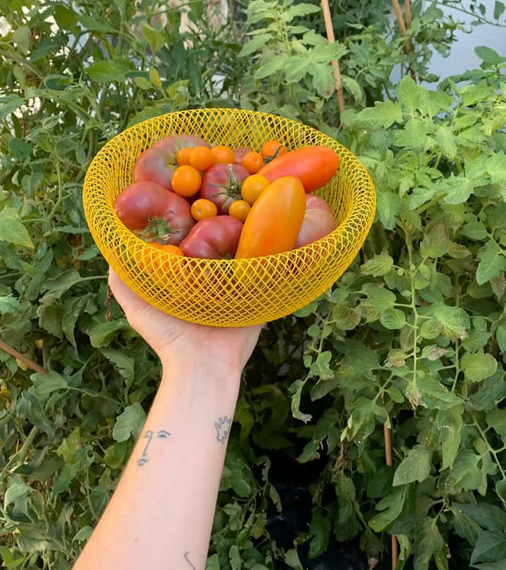 BowLift | Steel Mesh Fruit Basket with Ventilation for Fresh Storage