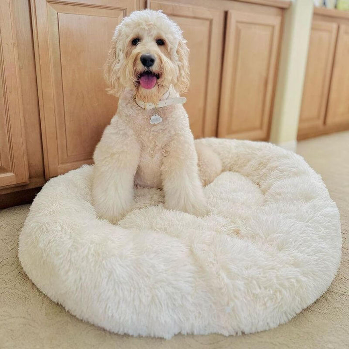 Calming Anti-Stress Dog Cushion – Nuvio Bowlift