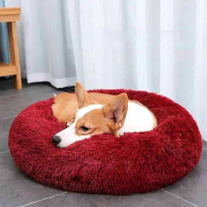 Calming Anti-Stress Dog Cushion – Nuvio Bowlift