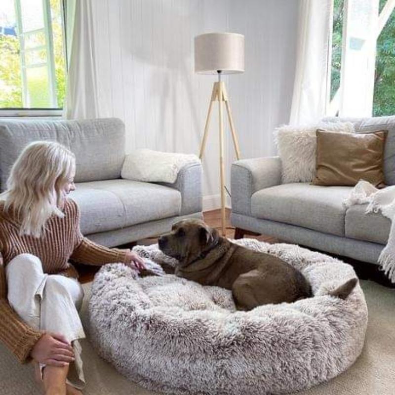 Calming Anti-Stress Dog Cushion – Nuvio Bowlift
