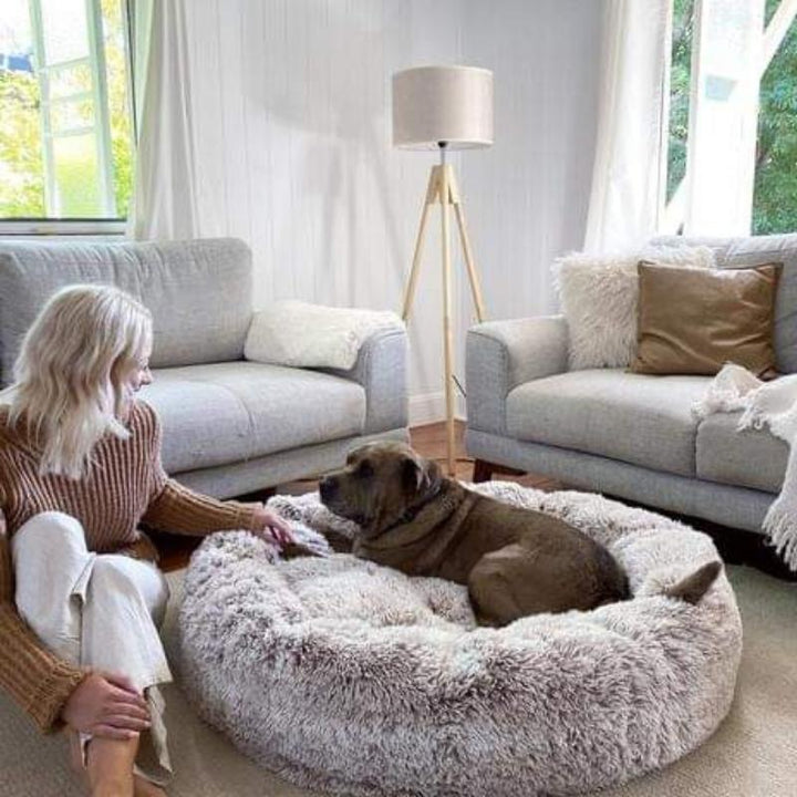 Calming Anti-Stress Dog Cushion – Nuvio Bowlift