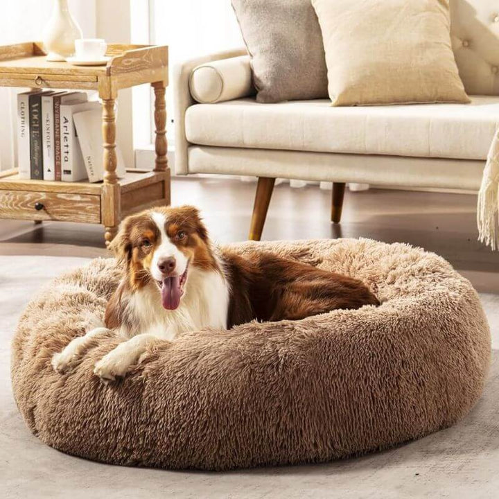 Calming Anti-Stress Dog Cushion – Nuvio Bowlift