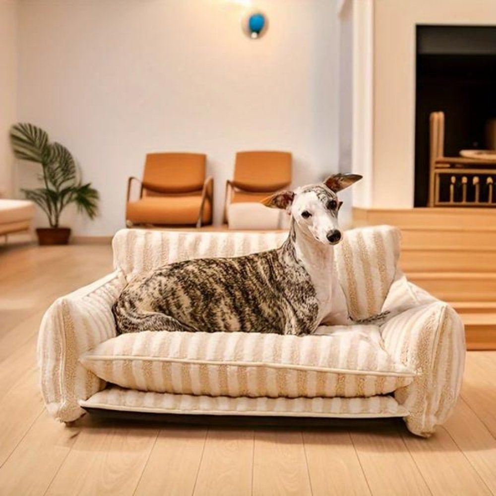 CozyCouch • Calming Dog Sofa - Dog Bed - BowLift