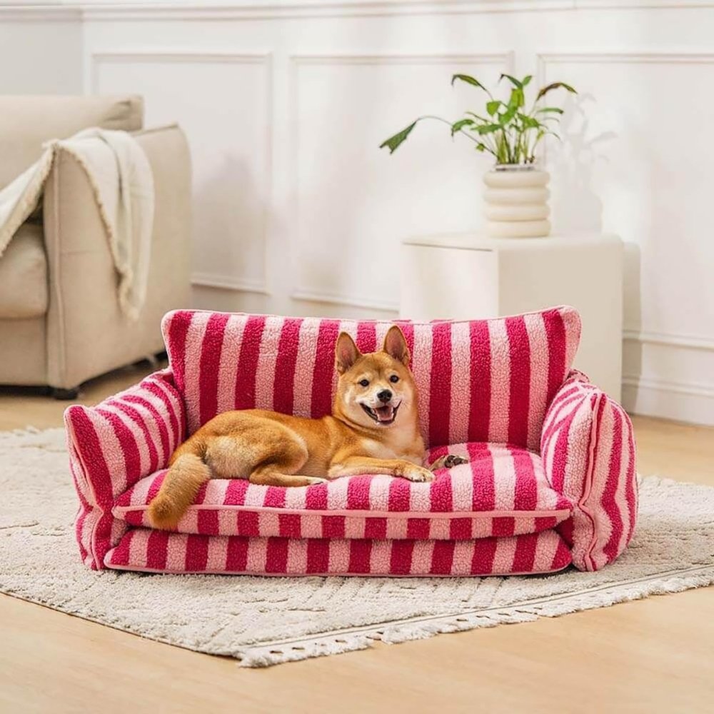 CozyCouch • Calming Dog Sofa - Dog Bed - BowLift