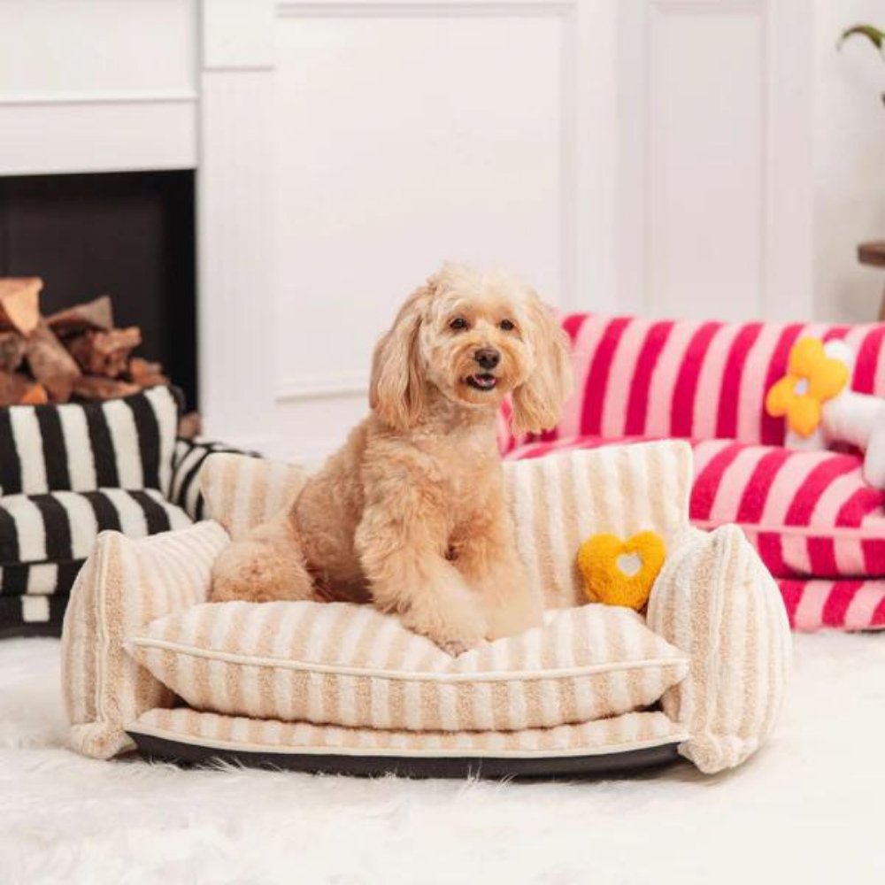 CozyCouch • Calming Dog Sofa - Dog Bed - BowLift