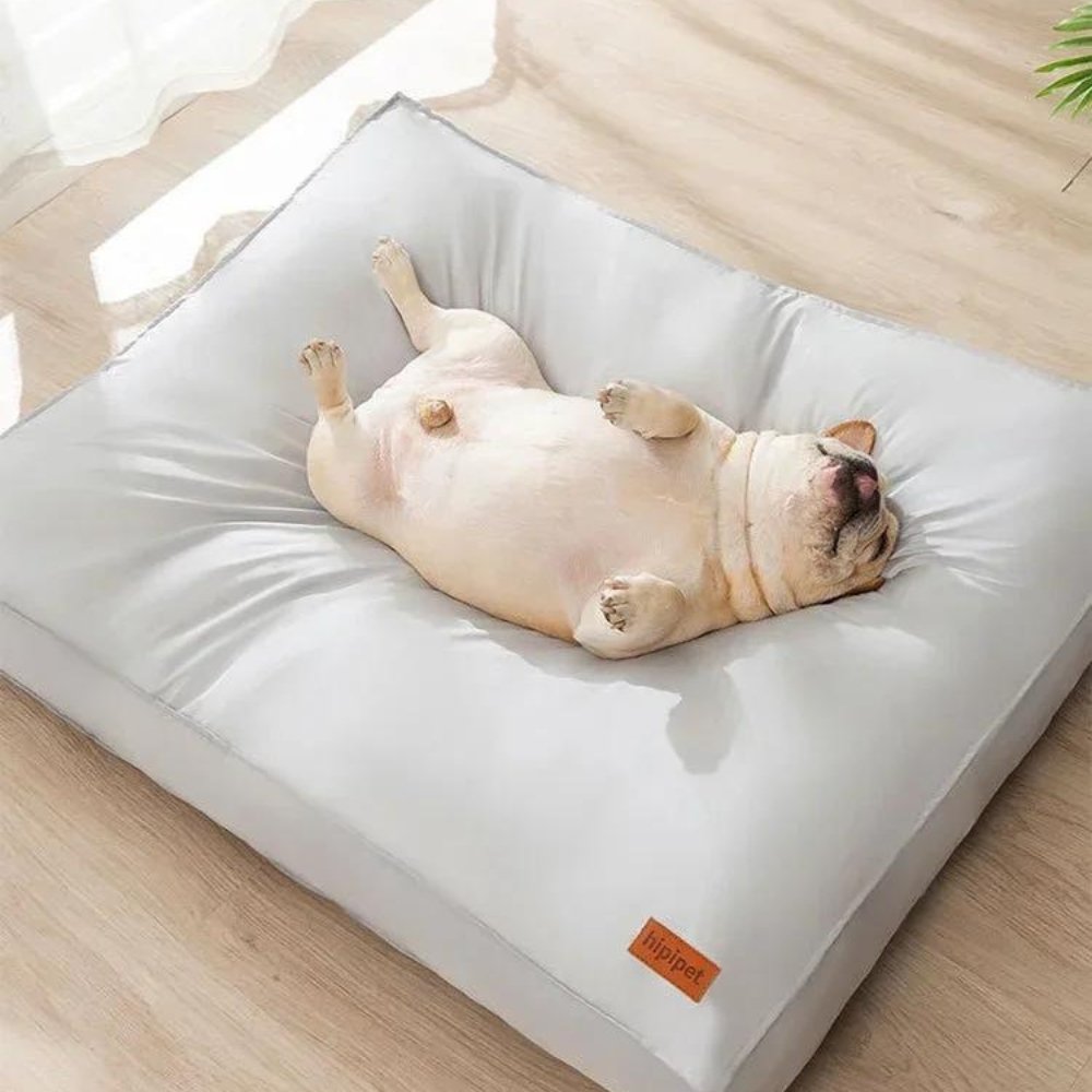 CozyGuard • Waterproof & Comfortable Dog Bed - Dog Bed - BowLift