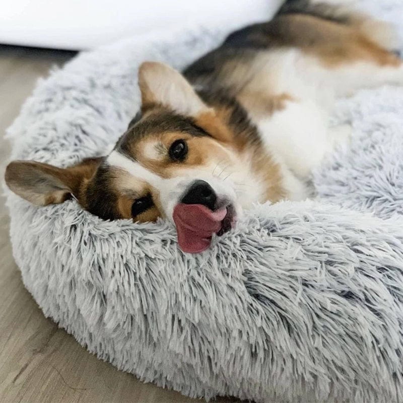 BowLift | COZYPET – Calming Dog Bed with Plush Faux Fur & Removable Cover