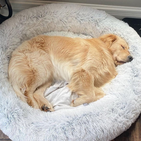 BowLift | COZYPET – Calming Dog Bed with Plush Faux Fur & Removable Cover