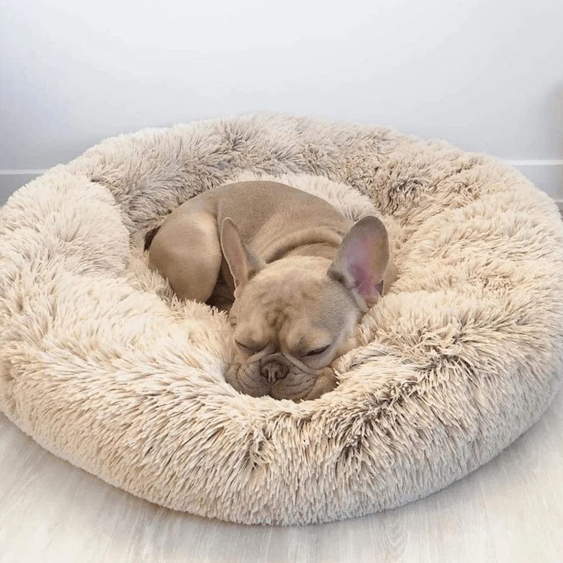 BowLift | COZYPET – Calming Dog Bed with Plush Faux Fur & Removable Cover